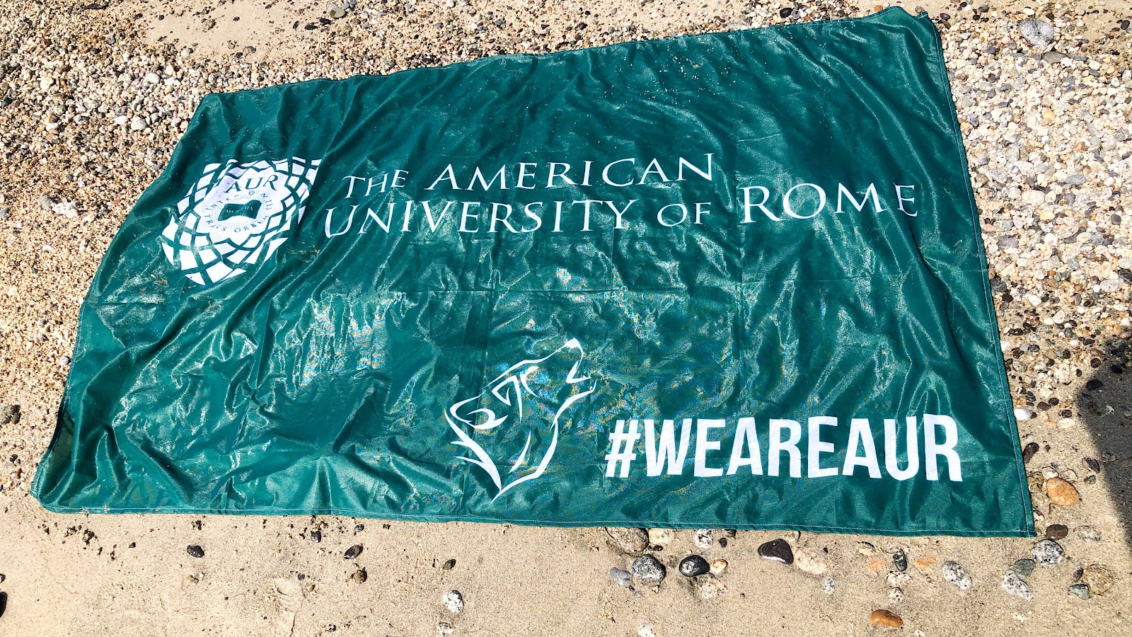 American University School Rome
