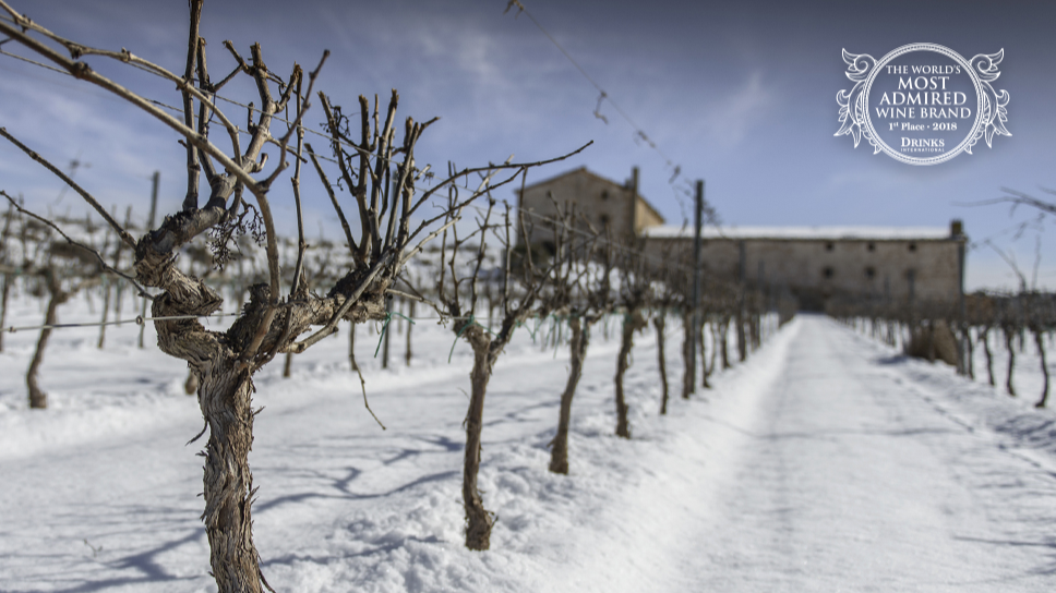 Bodegas Torres Penedès, Restaurants gastronomiques