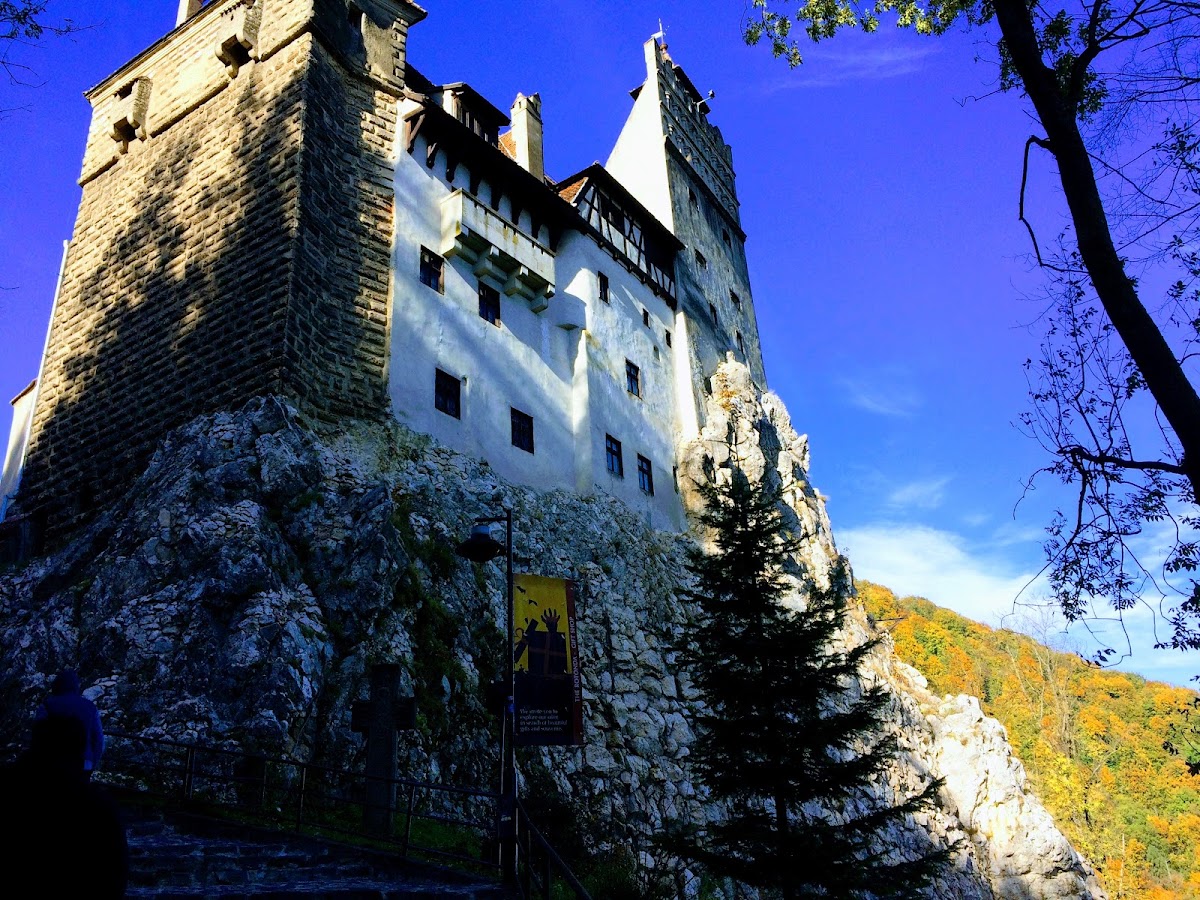 Bran Castle Transylvania, Art et design