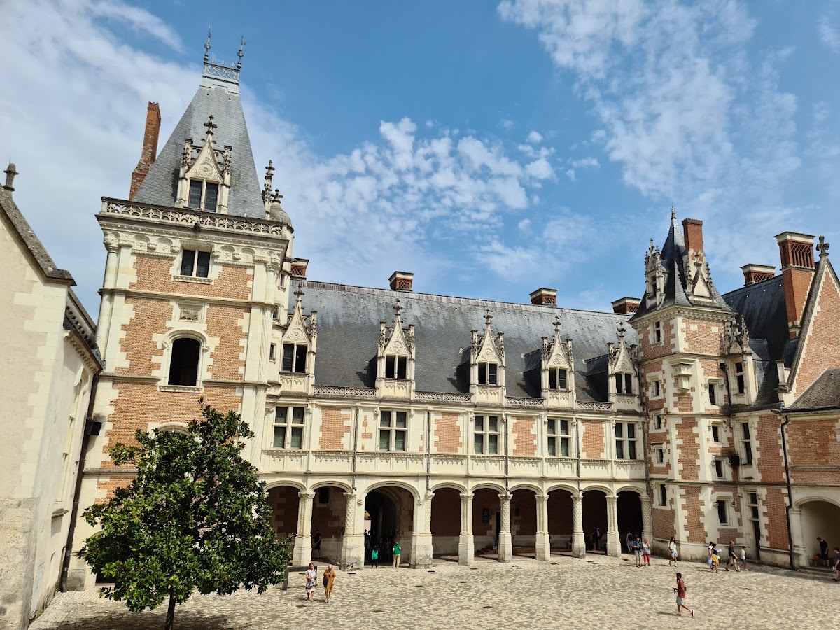Château de Blois Loire, Art et design