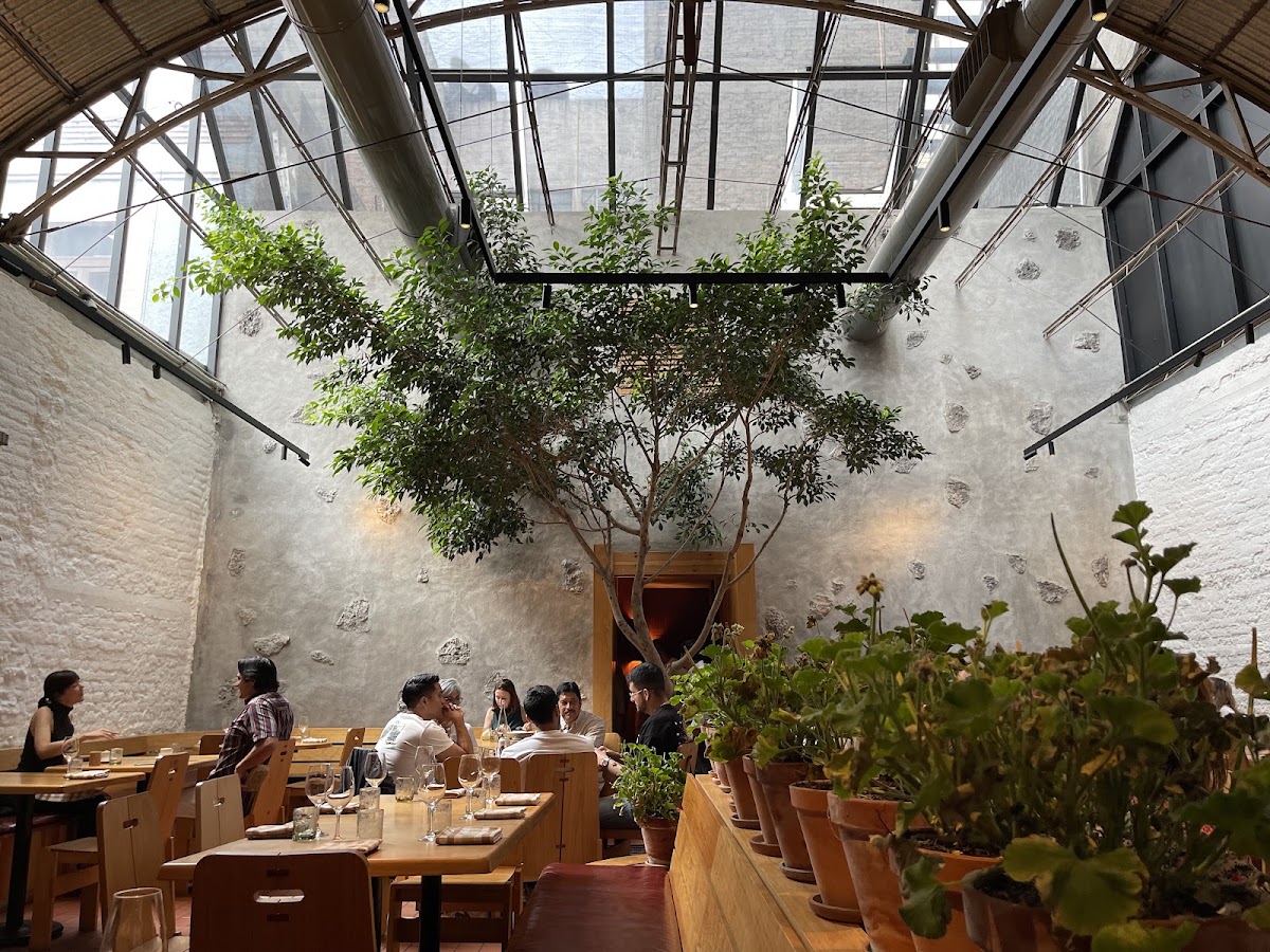 Máximo Bistrot Mexico City