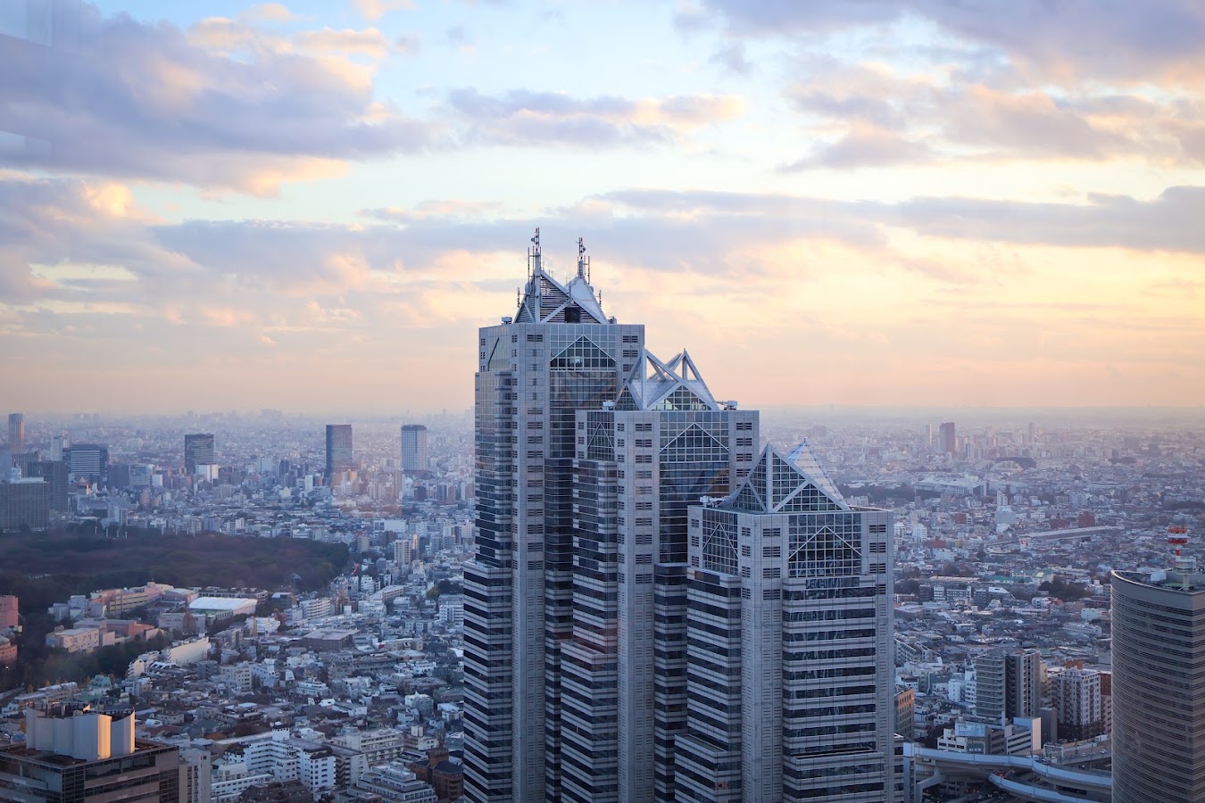 Park Hyatt Tokyo, Hôtels et palaces