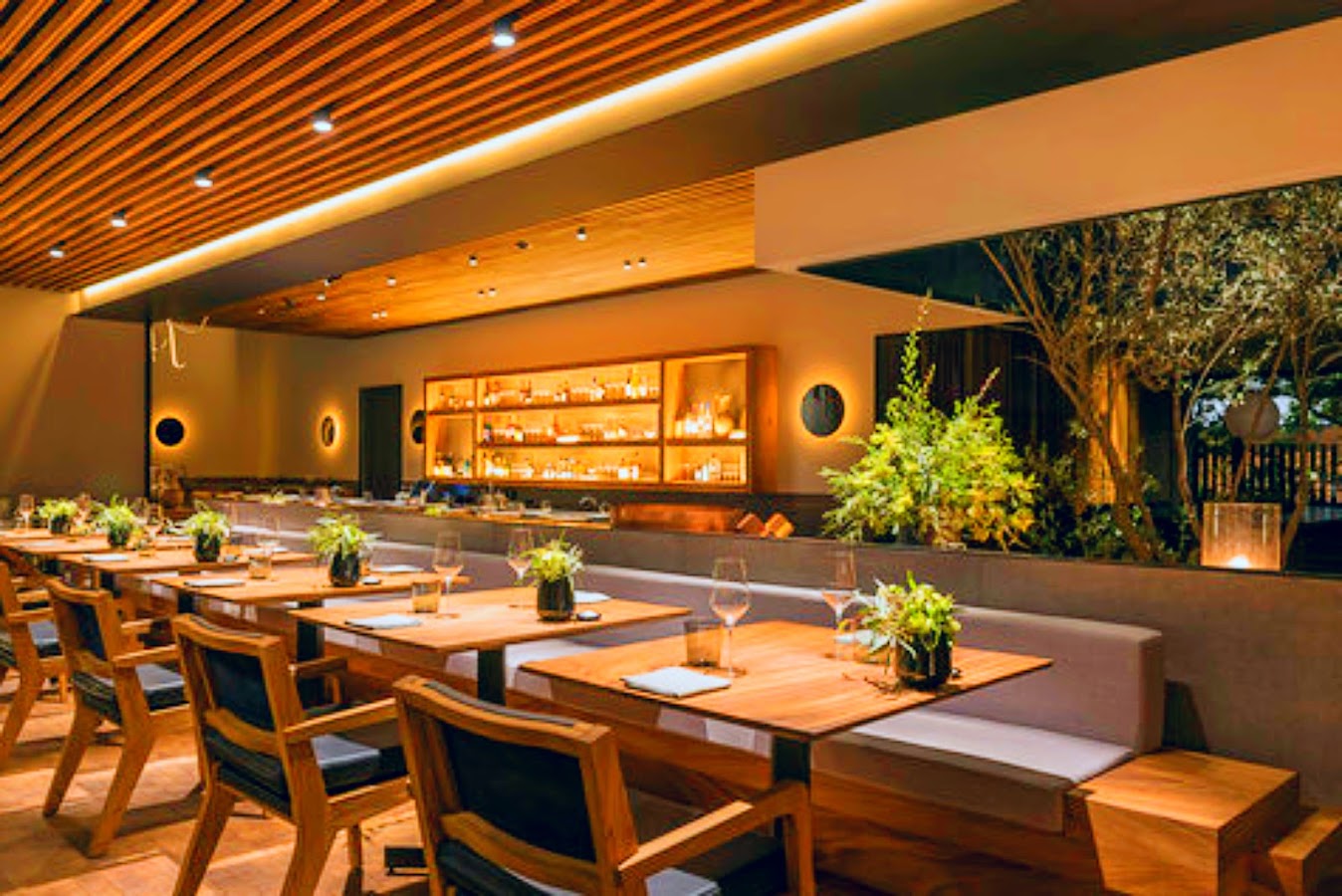 Pujol Mexico City